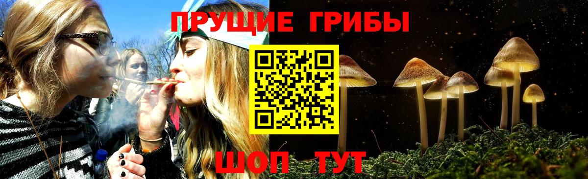 Псилоцибиновые грибы мицелий  Псилоцибиновые грибы мухоморы  Вход с VPN  Среднеуральск 